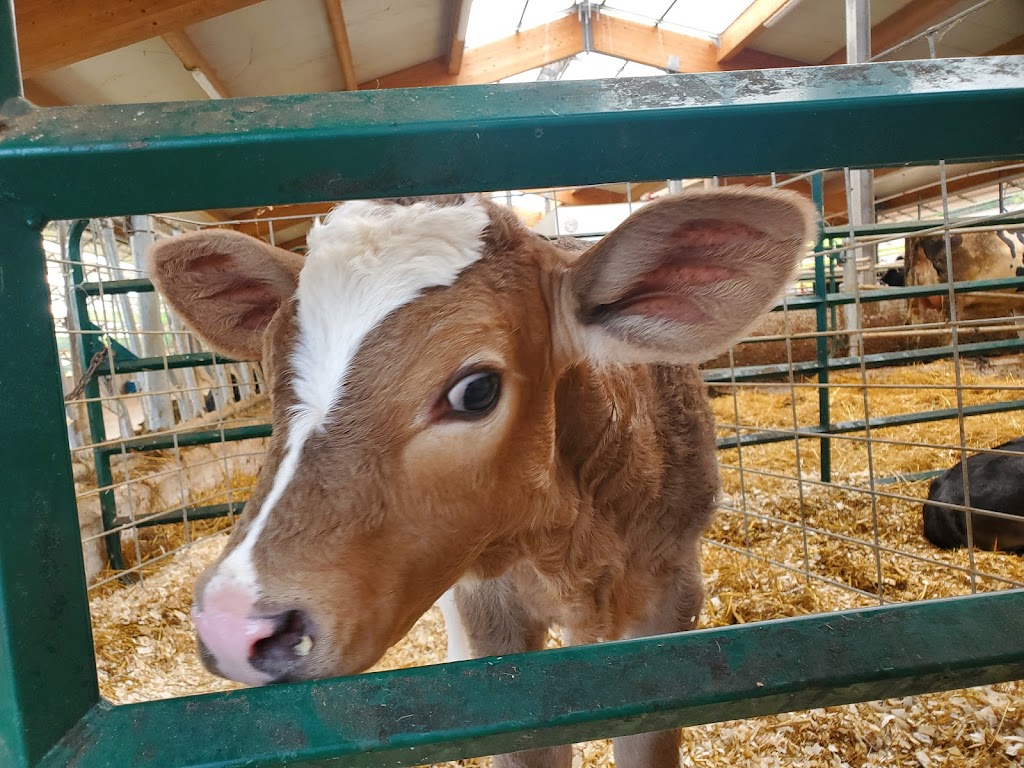 McCrea Farms | Shannon, NB E5T 4G2, Canada | Phone: (506) 434-2246
