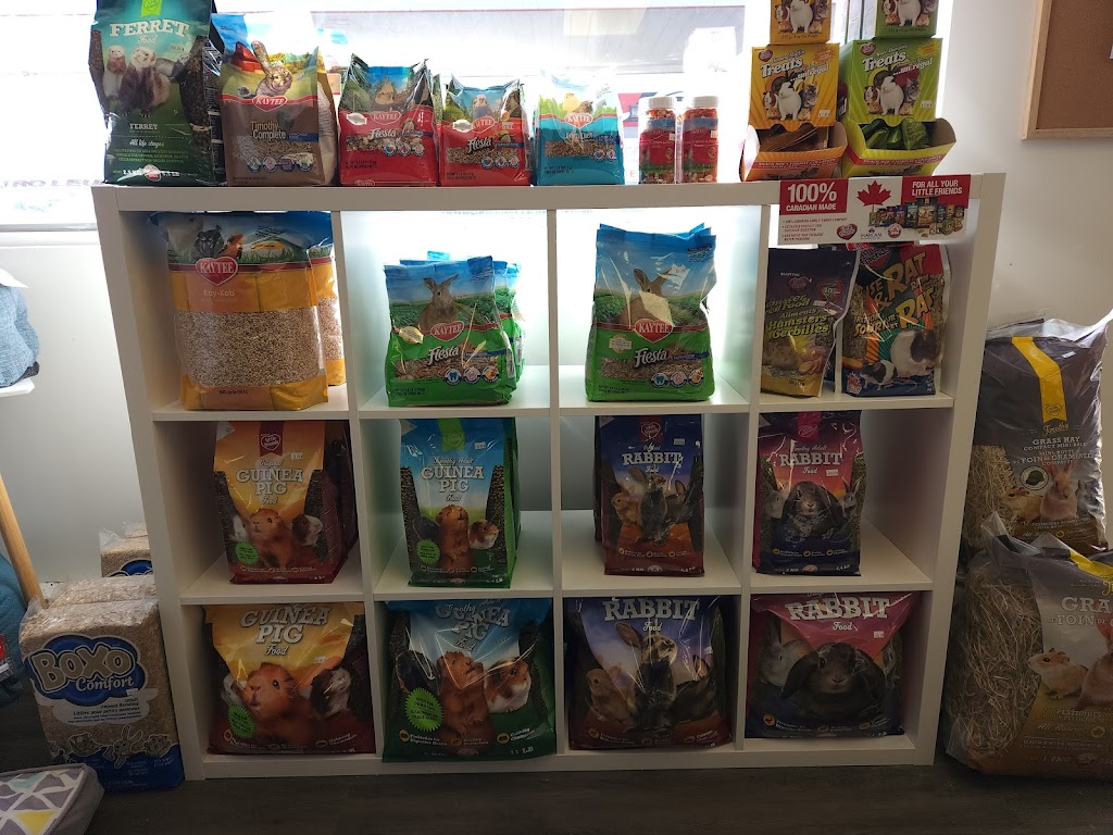 Four Paws Pet Supply | 5379 Old Highway 2, Shannonville, ON K0K 3A0, Canada | Phone: (613) 970-9032
