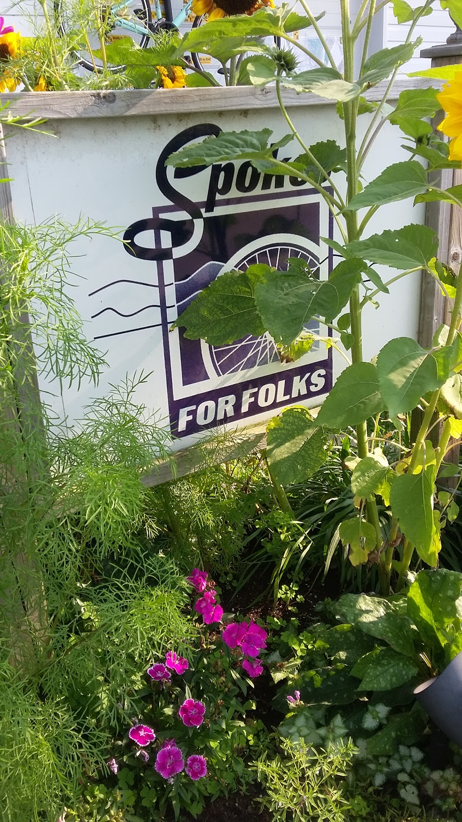 Spokes For Folks The Biggest Bike Shop in Cambray | 30 North St, Cambray, ON K0M 1E0, Canada | Phone: (705) 374-4633