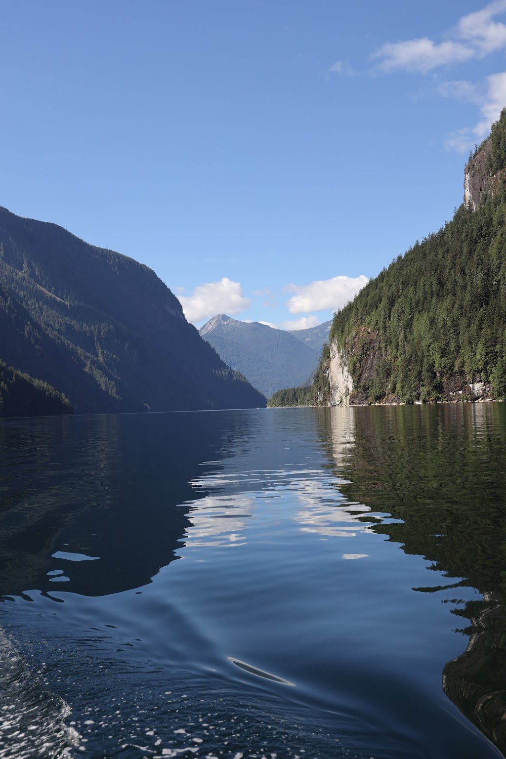 Egmont Adventure Centre | 6719 Maple Rd, Egmont, BC V0N 1N0, Canada | Phone: (778) 280-8619