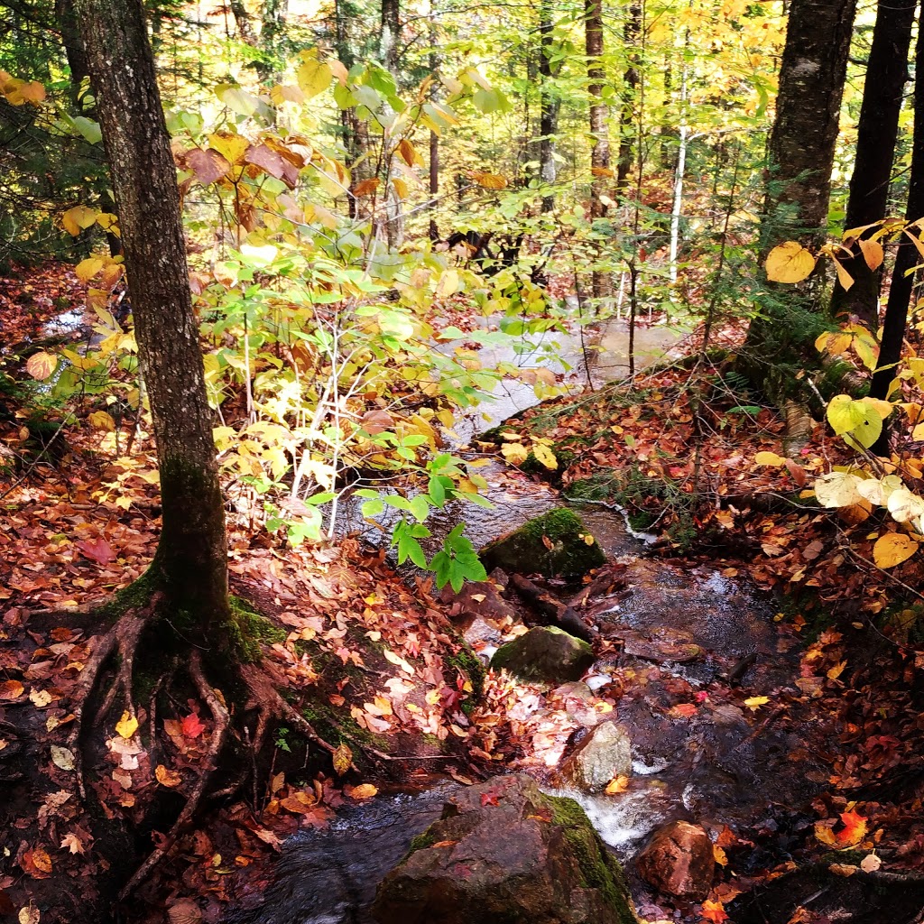 Mountain Trail Ouareau (National Trail) | QC-125, Notre-Dame-de-la-Merci, QC J0T 2A0, Canada | Phone: (450) 884-0484