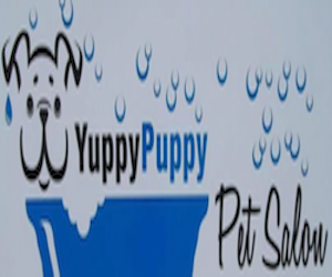 Yuppy Puppys Pet Salon | 1009 Moira St W, Belleville, ON K8N 4Z2, Canada | Phone: (613) 779-6846