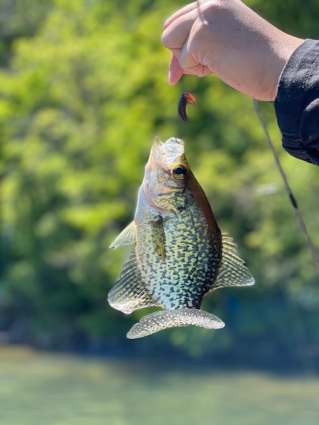 Fish On Fishing Guides | 2 Hannah Rd #100, Bailieboro, ON K0L 1B0, Canada | Phone: (647) 818-1359