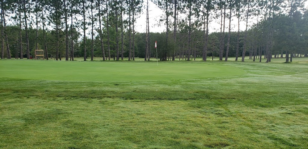 Roanoke Golf Club | 610 Biesenthal Rd, Pembroke, ON K8A 6W7, Canada | Phone: (613) 735-4444
