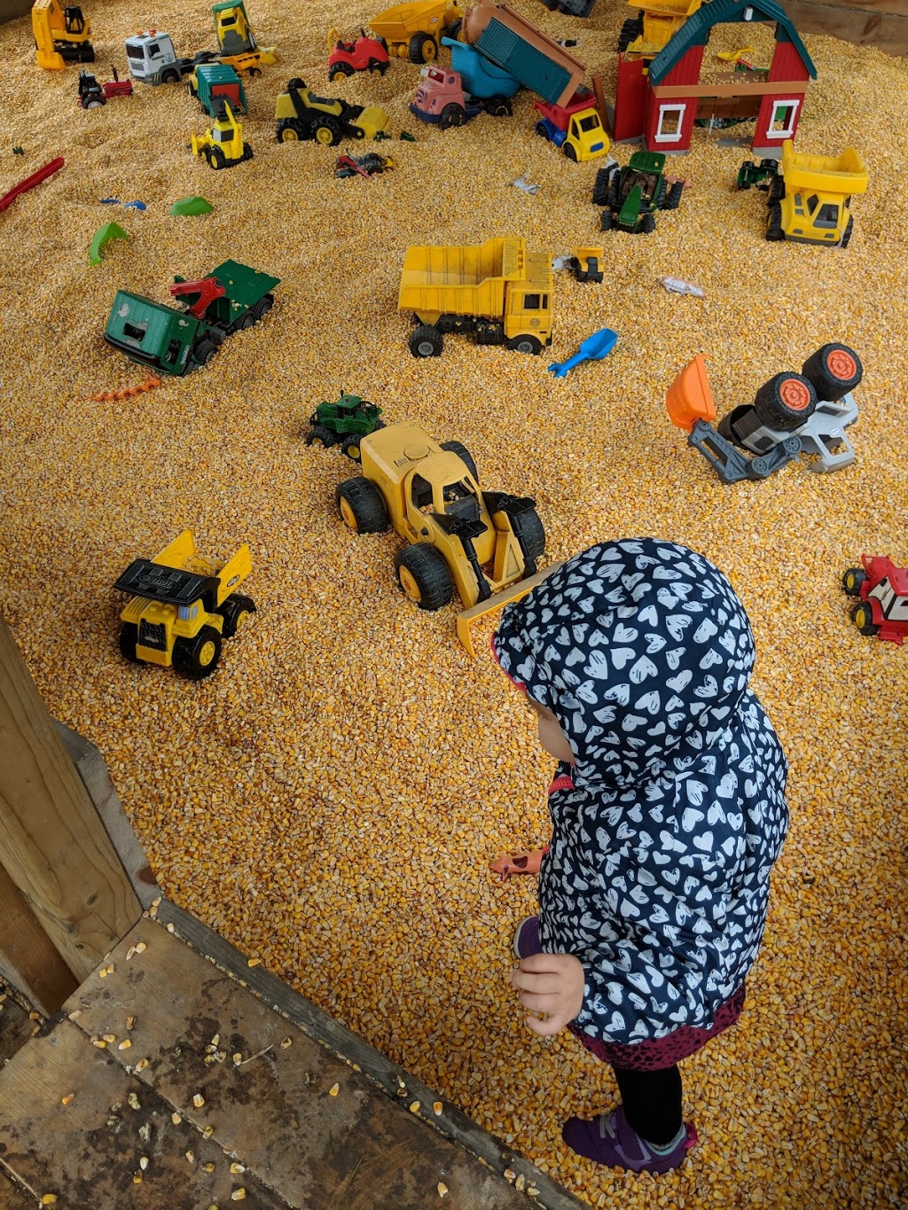 The Apple Orchard Inc. | 1668 ON-6, Hamilton, ON L8N 2Z7, Canada | Phone: (647) 456-6644