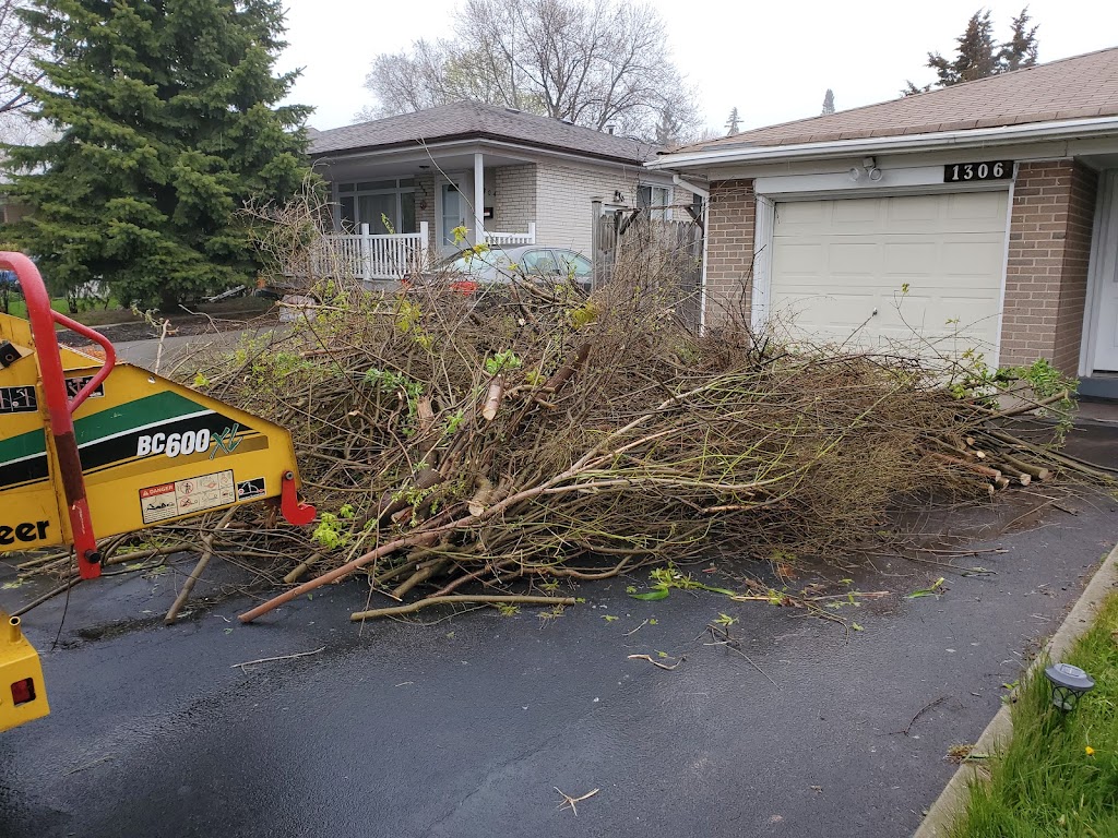 Chip It Guy Brush Chipping & Stump Grinding | 12459 Sixth Line Nassagaweya, Acton, ON L7J 2L7, Canada | Phone: (905) 864-5852