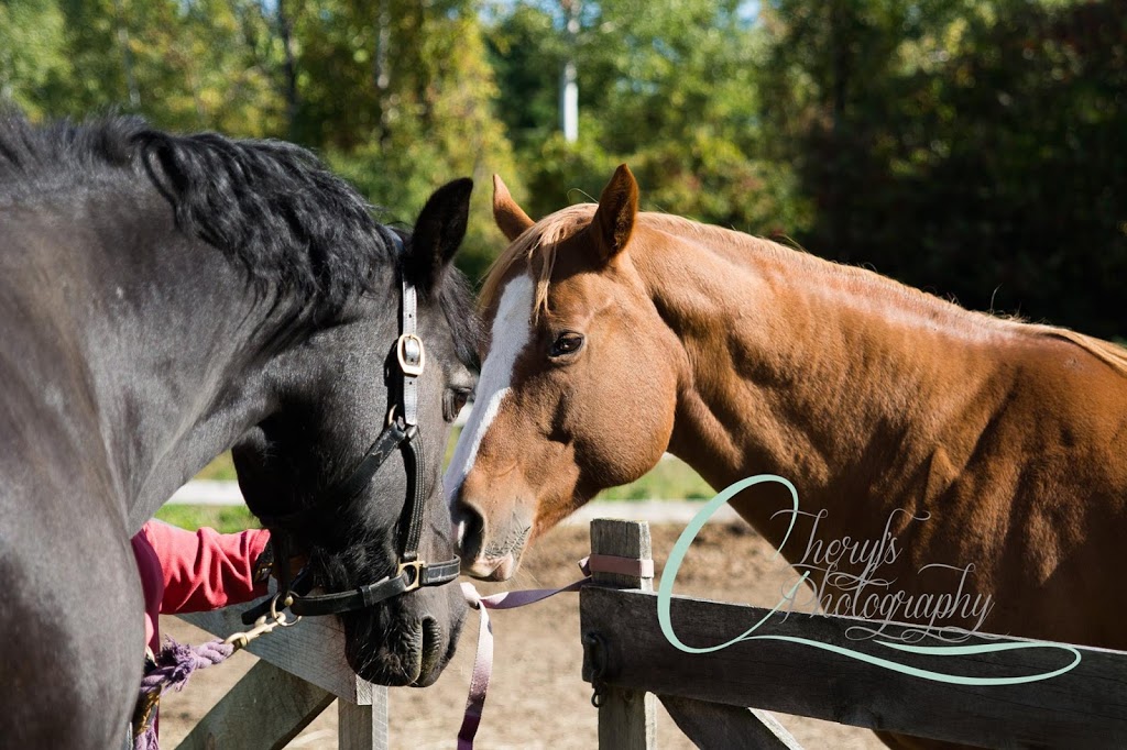 Humphreys Acres | 133 Rue Naedler, Saint-Bernard-de-Lacolle, QC J0J 1V0, Canada | Phone: (514) 603-8771
