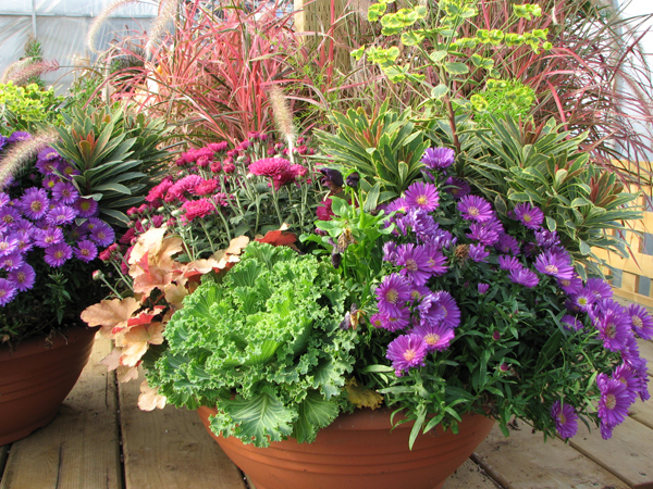 Brantim Country Garden Centre | 3994 Hamilton Side Rd, Almonte, ON K0A 1A0, Canada | Phone: (613) 256-4940