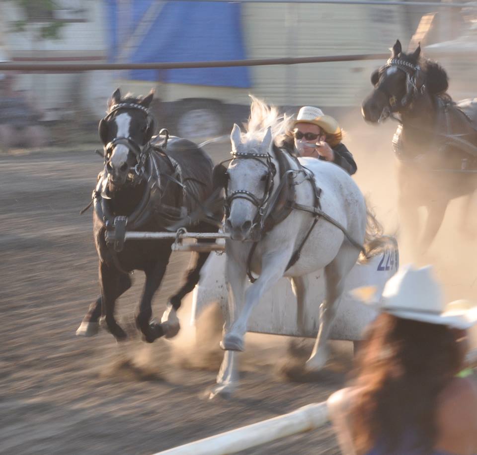 Rockyford Agricultural Society Rodeo | 111 1 St E, Rockyford, AB T0J 2R0, Canada | Phone: (403) 533-3771