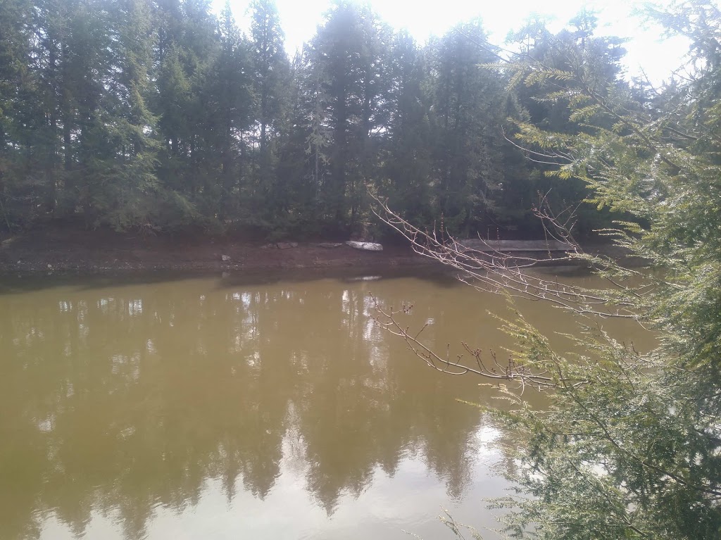 Stewiacke River Park | 528 Stewiacke River Park Rd, Stewiacke East, 528 Stewiacke River Park Rd, MacKay Siding, NS B0N 2J0, Canada