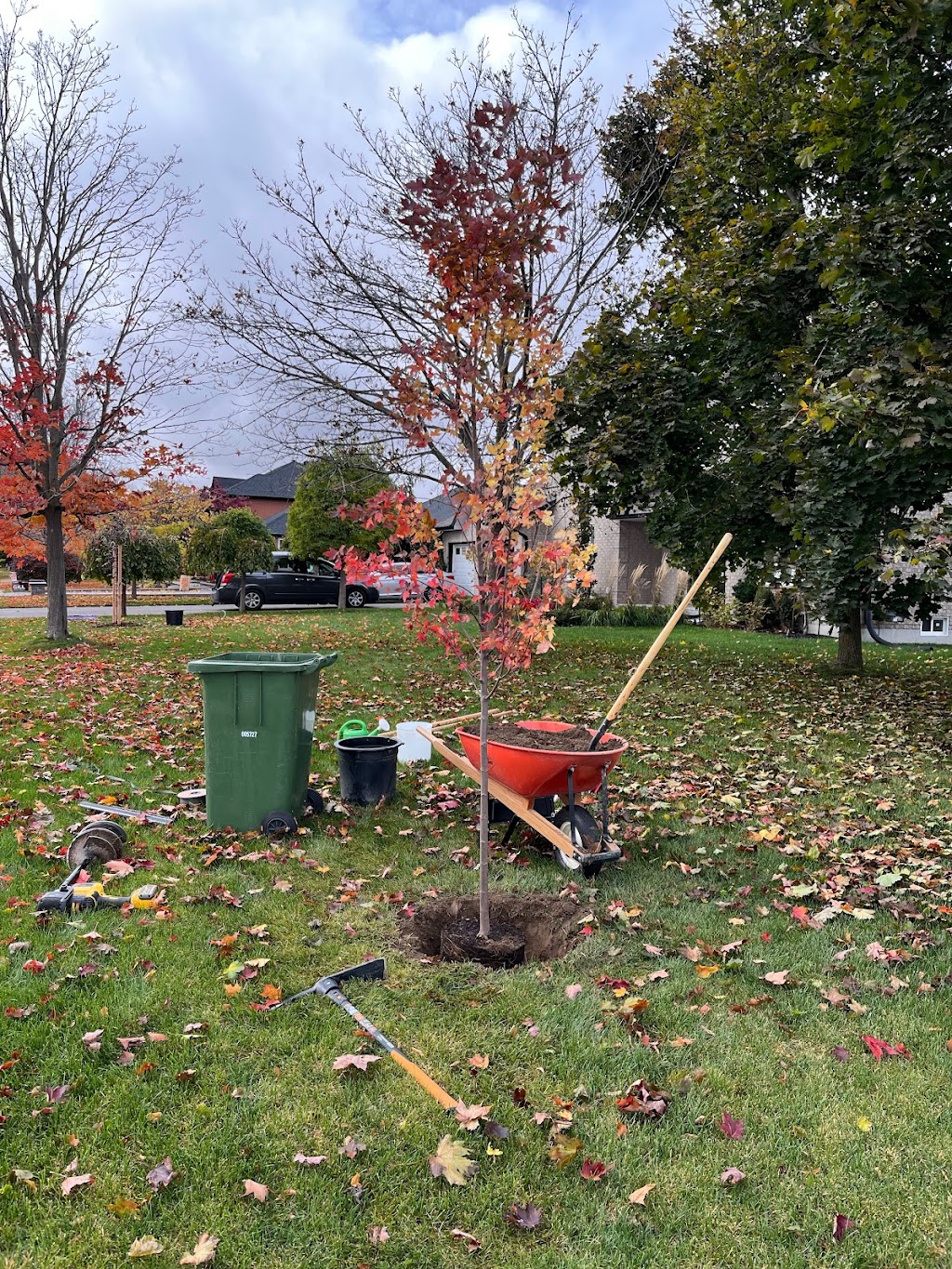 Niagara Tree Company | 4478 Lincoln Ave, Beamsville, ON L0R 1B3, Canada | Phone: (905) 401-9526