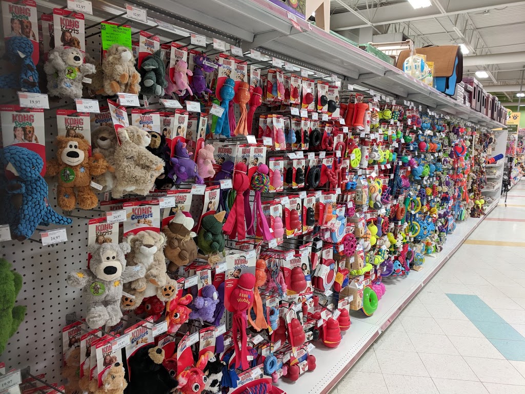 Petland Westhills | 290 Stewart Green SW, Calgary, AB T3H 3C8, Canada | Phone: (403) 686-7929