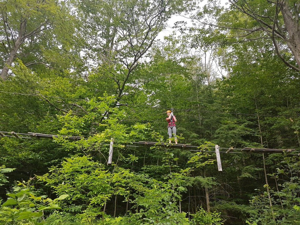 Treetop Eco-Adventure Park | 53 Snow Ridge Ct, Oshawa, ON L1H 7K4, Canada | Phone: (905) 655-1113