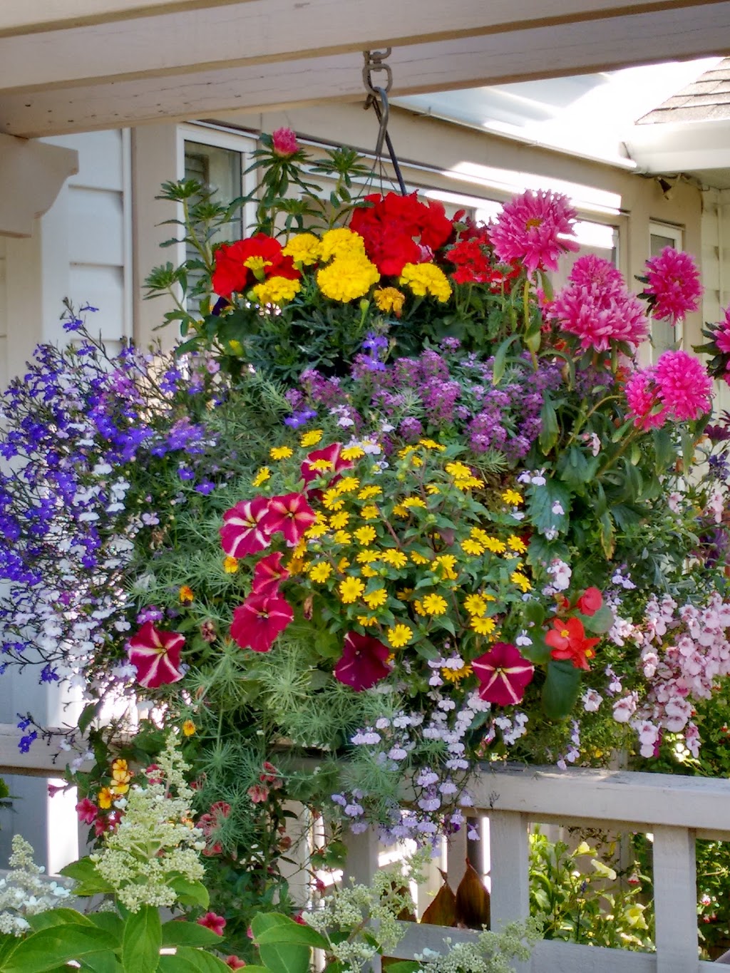 Michell Valley Plants | 2451 Island View Rd, Saanichton, BC V8M 1W3, Canada | Phone: (250) 886-0494