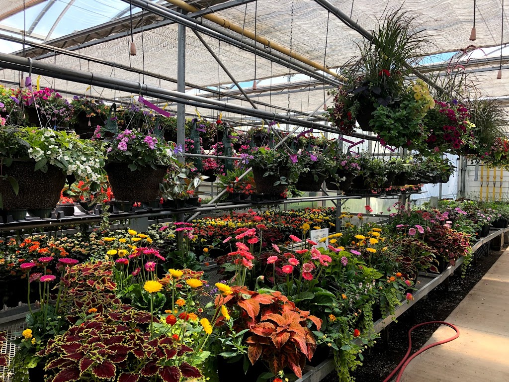 Arnold’s Greenhouse | Halton Hills, ON, Canada