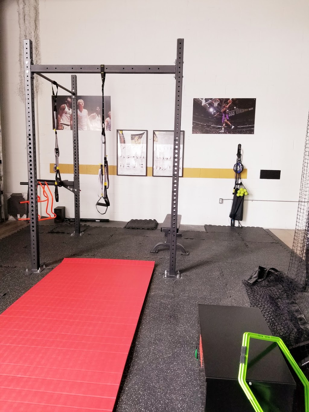 Toronto Basketball Training Centre - House of Legends | 111-1510 Birchmount Rd, Scarborough, ON M1P 2G6, Canada | Phone: (647) 718-4095