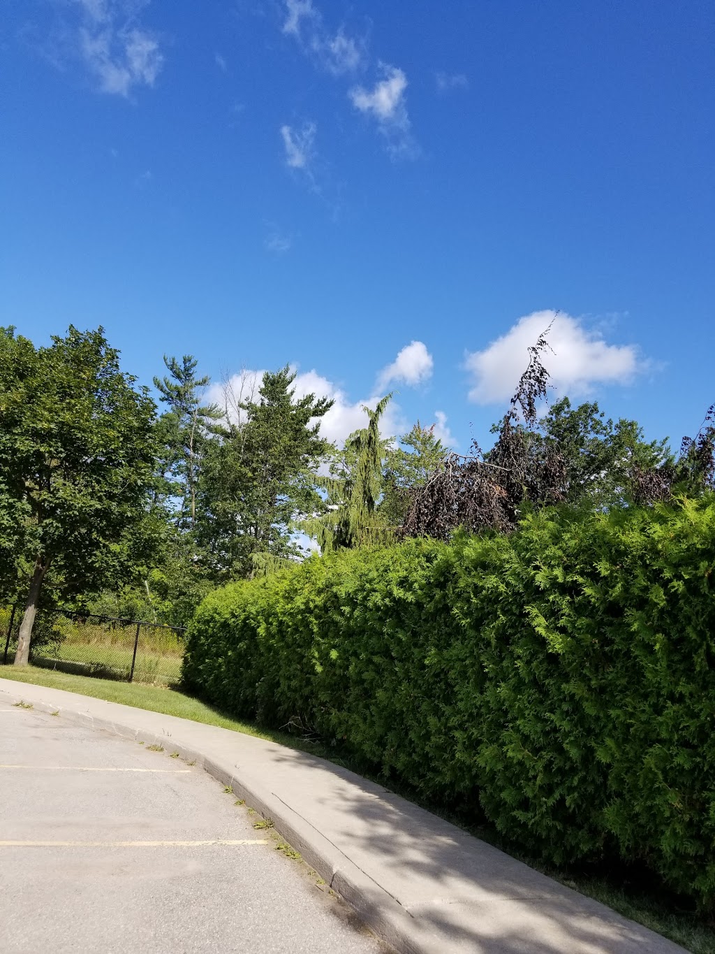 Pinery Park | 1439 Pinery Crescent, Oakville, ON L6H 7J6, Canada | Phone: (905) 815-5989