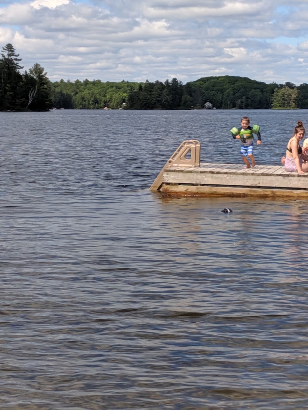 Horseshoe Pines Marina | 9 Haven Dr, Parry Sound, ON P2A 2W8, Canada | Phone: (705) 378-2437