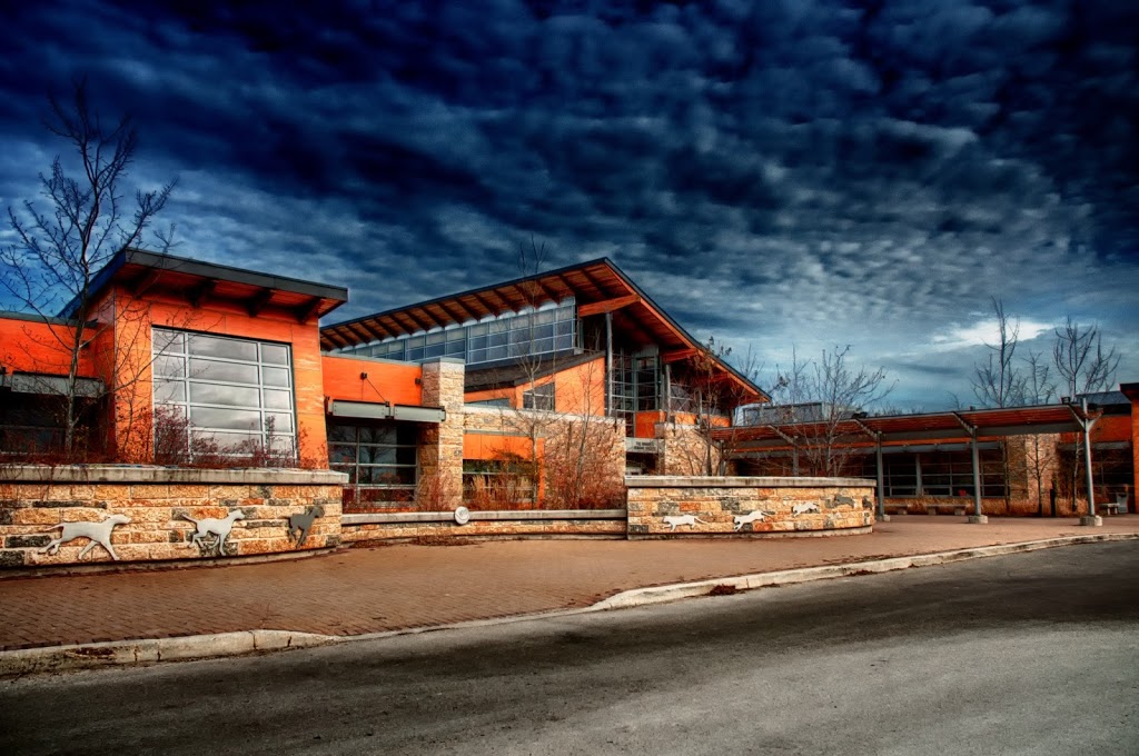 Winnipeg Humane Society | 45 Hurst Way, Winnipeg, MB R3T 0R3, Canada | Phone: (204) 982-2021