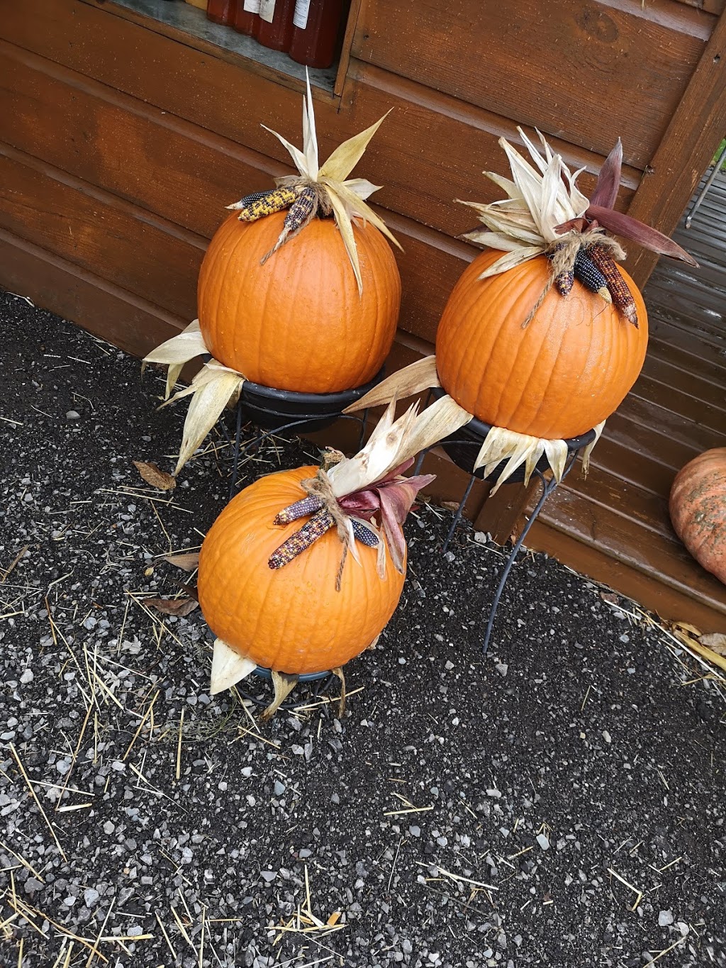 Fehrhaven Farms | 1577 ON-3, Port Colborne, ON L3K 5V3, Canada | Phone: (905) 834-6440