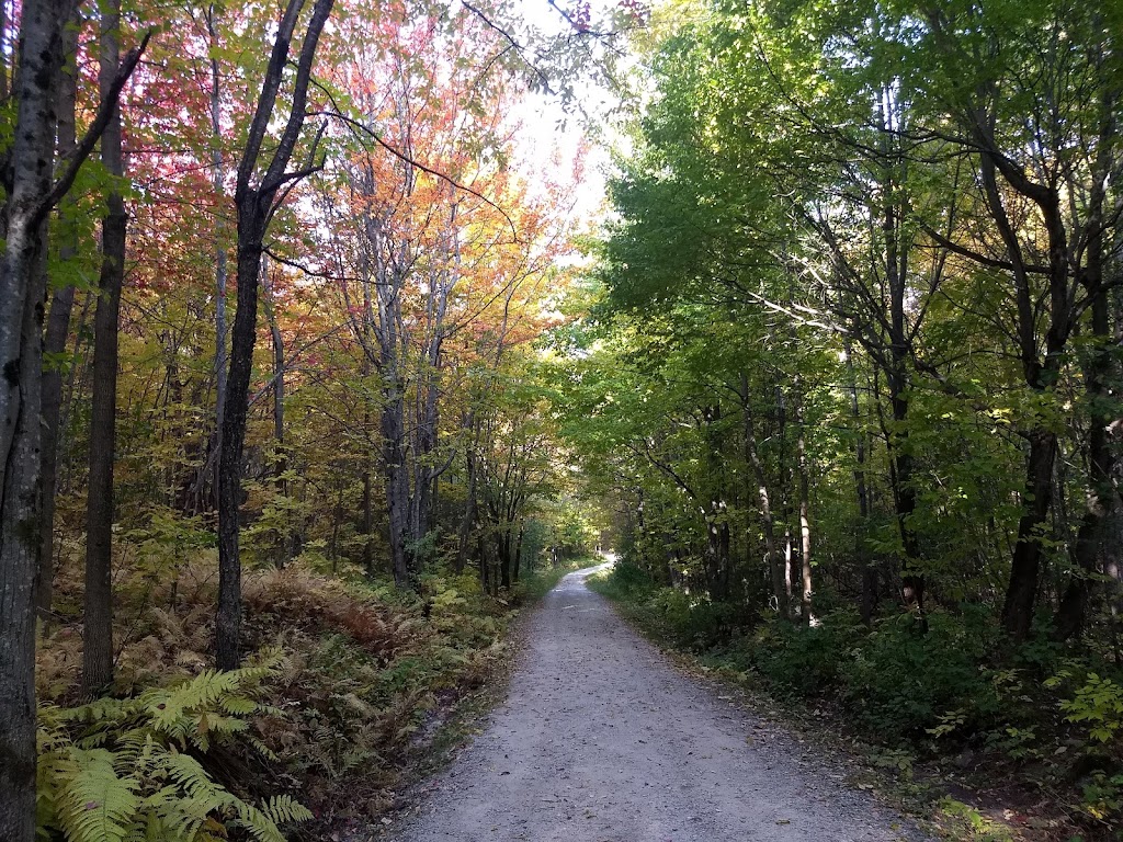 Mont-Bellevue Park | 1440 Rue Brébeuf, Sherbrooke, QC J1H 3G2, Canada | Phone: (819) 821-4559