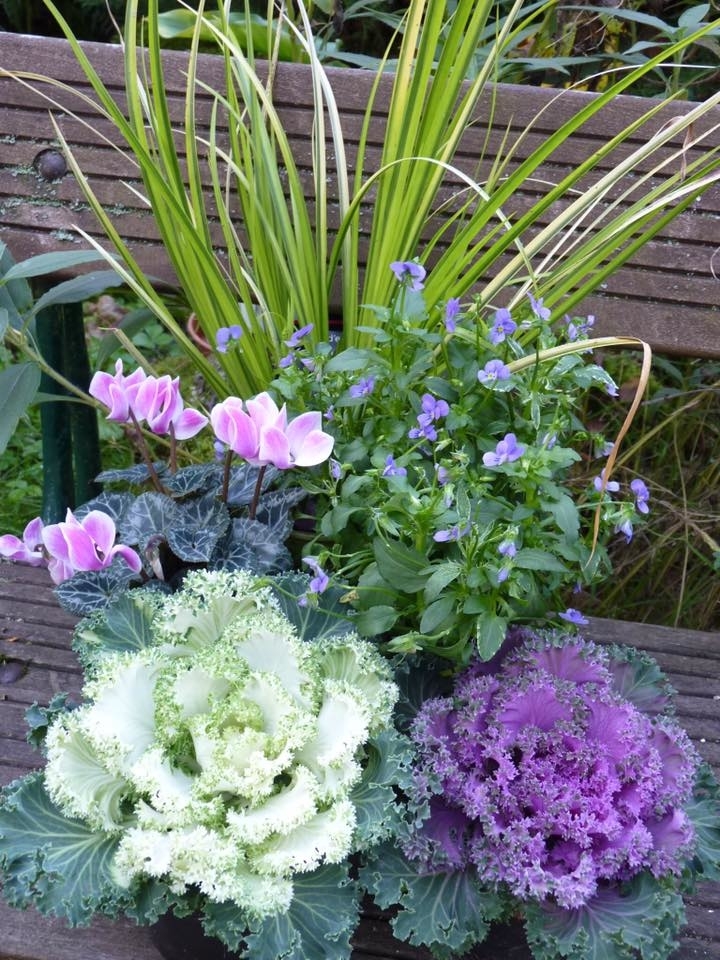 Conception Jardins | 83 Rang St Charles, Saint-Thomas, QC J0K 3L0, Canada | Phone: (450) 365-0664