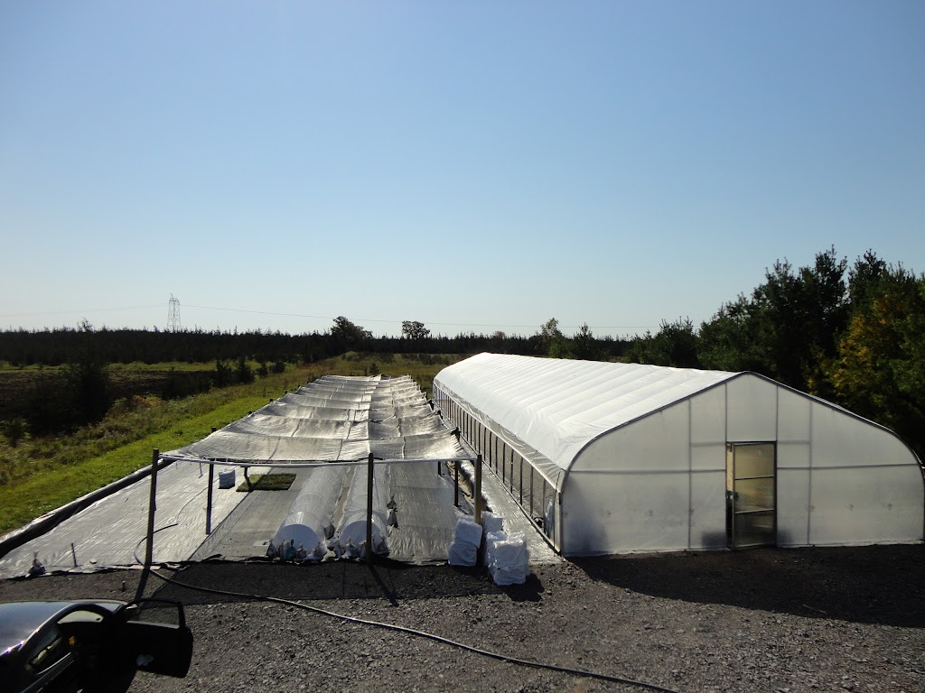 JPLANT | 330 W Drive in Rd, Napanee, ON K7R 3L1, Canada | Phone: (613) 217-9773