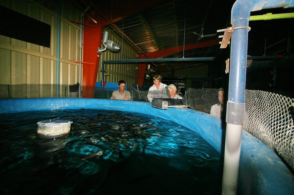 Allison Creek Brood Trout Hatchery Station - Crowsnest Pass, AB T0K 0M0 ...