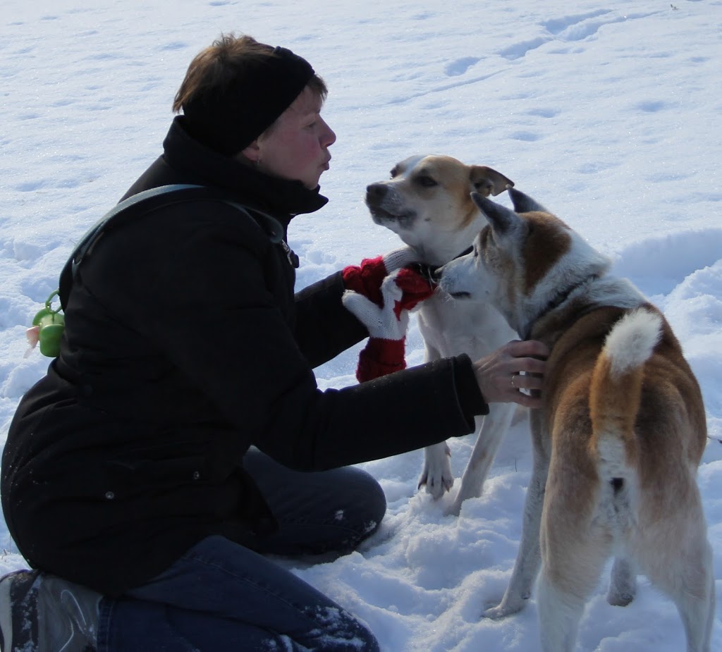 Paragon Pooch CPDT-KA | 80 Chemin Moulton Hill, Sherbrooke, QC J1M 2K4, Canada | Phone: (819) 919-3486