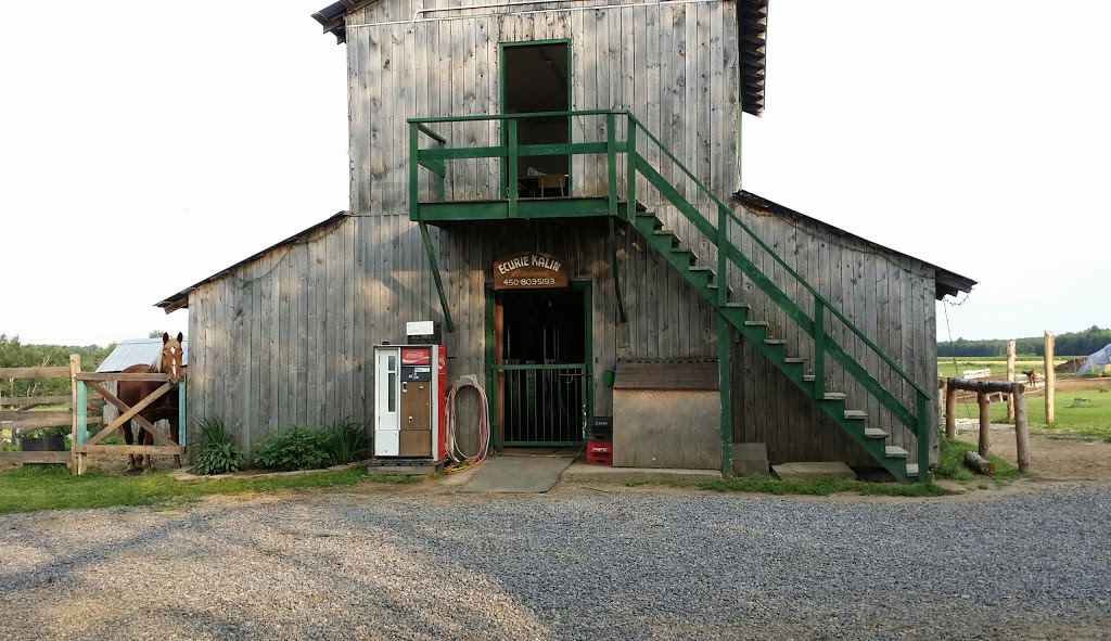 Écurie Kalin | 670 2e Rang, Sainte-Mélanie, QC J0K 3A0, Canada | Phone: (450) 803-5193