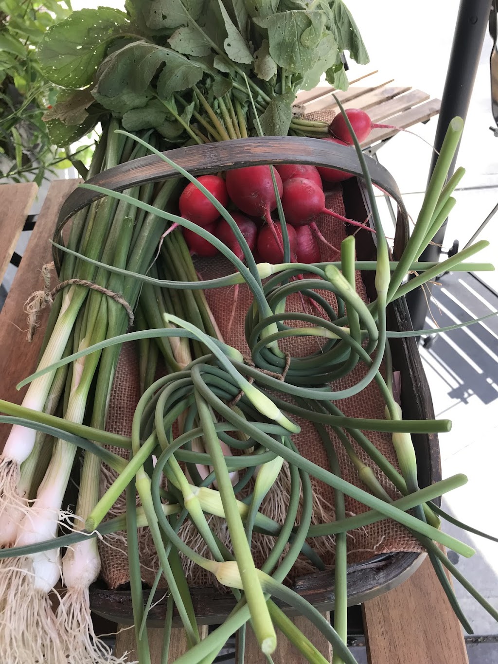 lil Green Urban Farm | 512 Thornhill Dr NW, Calgary, AB T2K 2R7, Canada | Phone: (403) 660-2103