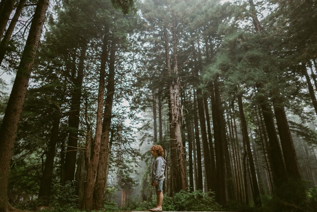 The Paper Deer Photography | 1800 27 Ave NE, Salmon Arm, BC V1E 3X4, Canada | Phone: (403) 505-9628