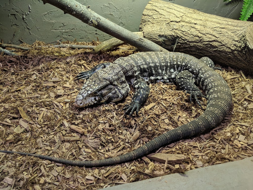 Reptilia Whitby | 1400 Victoria St E, Whitby, ON L1N 0M2, Canada | Phone: (905) 493-9537