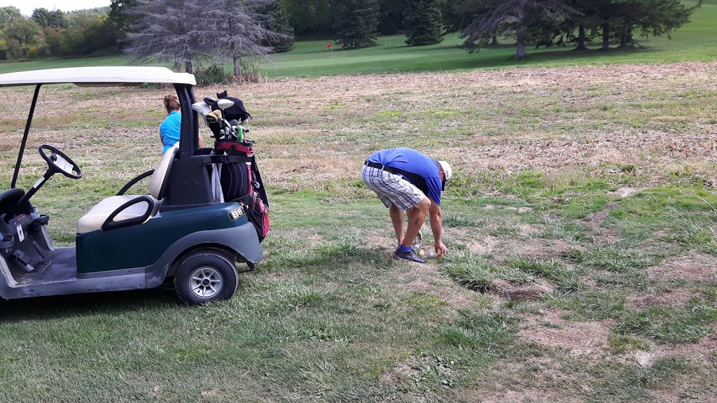 Oak Hills Golf Club | 1538 Frankford Stirling Rd, Stirling, ON K0K 3E0, Canada | Phone: (613) 395-2611