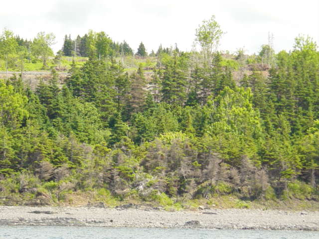 Seascape Holdings Inc. | 2 Ross St, Antigonish, NS B2G 1C6, Canada | Phone: (902) 870-7700