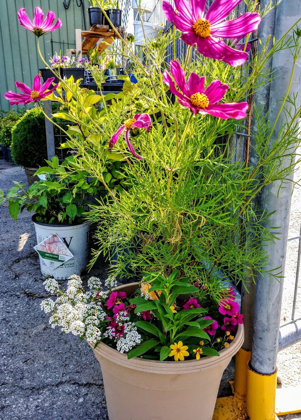 Bonville Garden | 17353 McPhail Rd, St Andrews West, ON K0C 2A0, Canada | Phone: (514) 944-7875