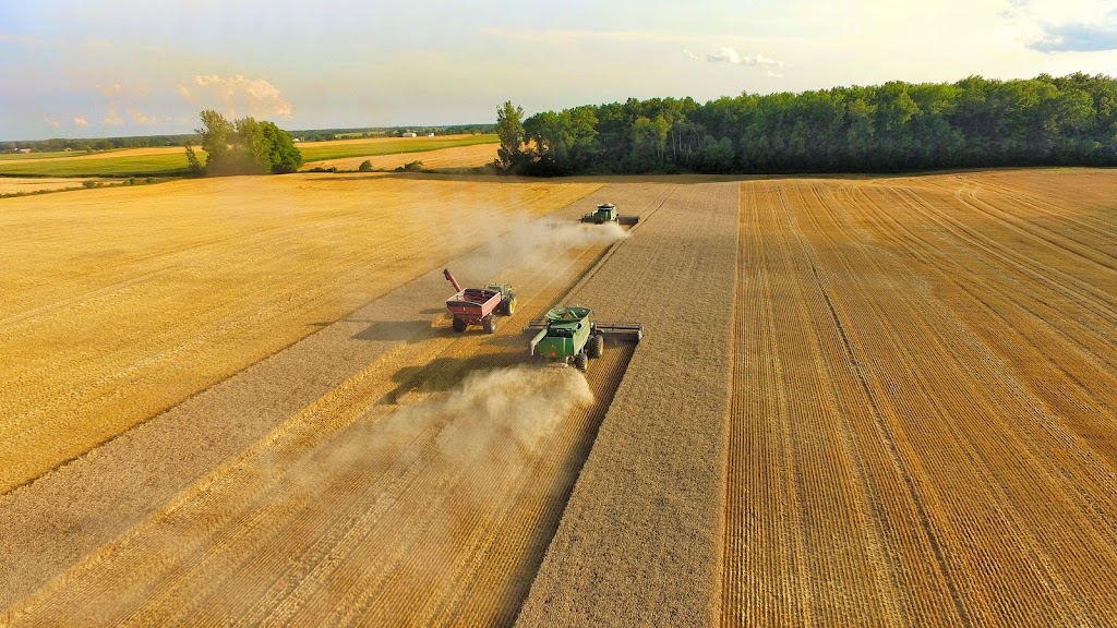 519 Aerial Imagery | 5348 Perth Line 29 RR#2, Mitchell, ON N0K 1N0, Canada | Phone: (519) 301-5738