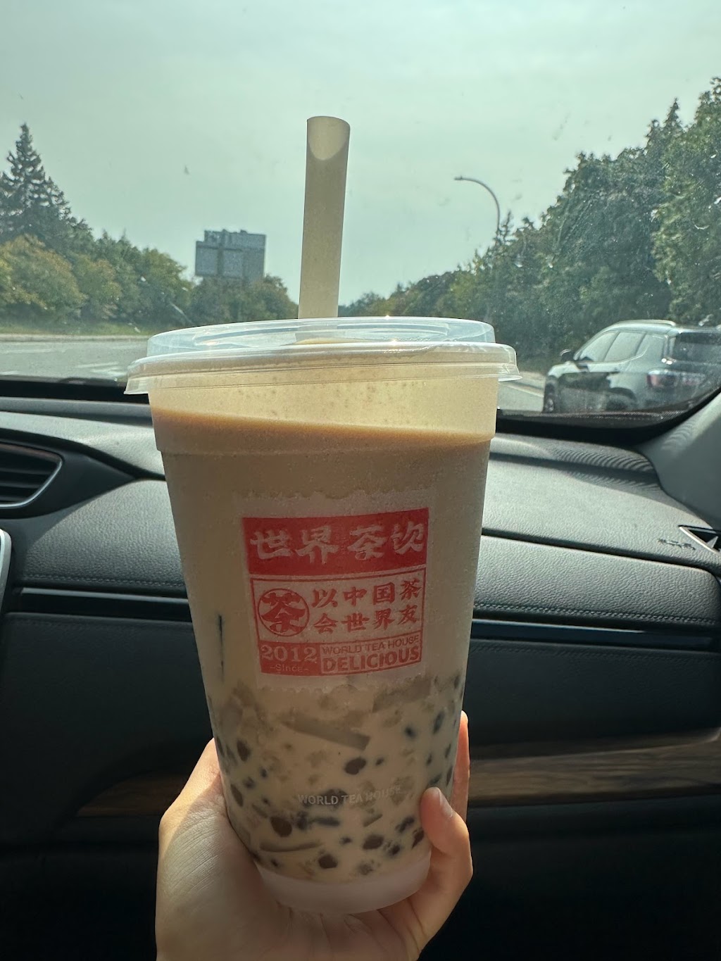 世界茶饮 World Tea House | 175 McArthur Ave. unit 1, Vanier, ON K1L 6P8, Canada | Phone: (613) 747-0999