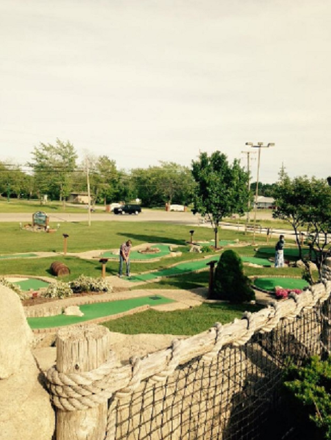 Puttin 4 Paws | 6010 Lakeshore Rd, Lexington, MI 48450, USA | Phone: (810) 359-4653