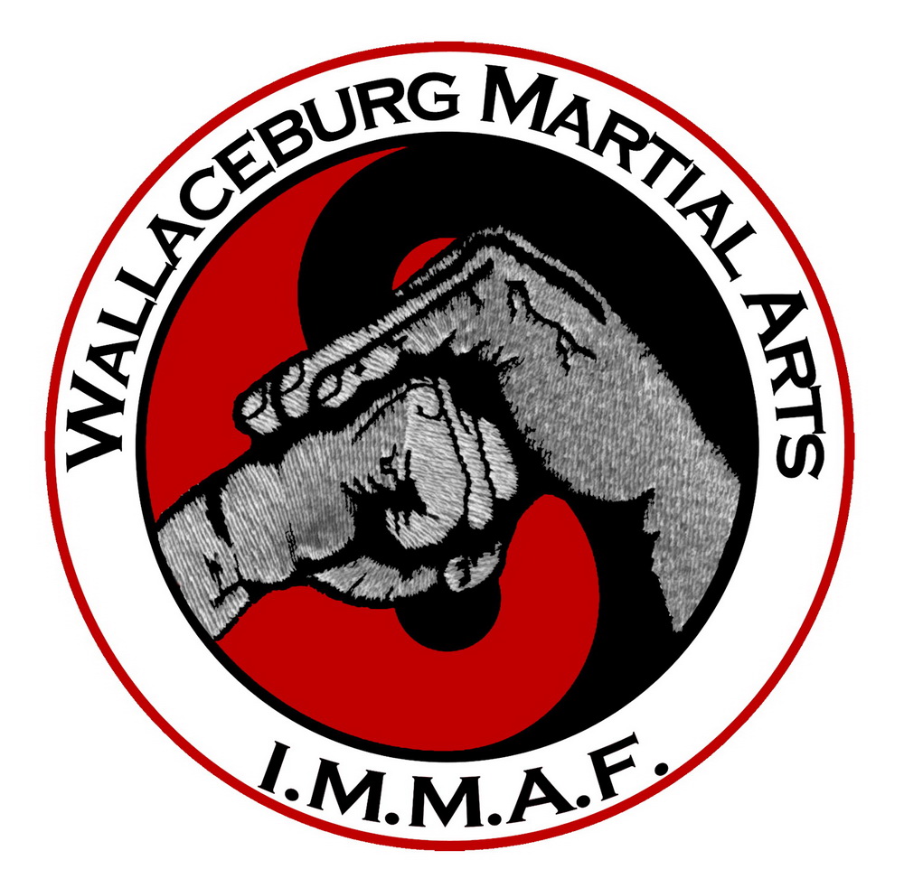 Wallaceburg Martial Arts | 505 King St, Wallaceburg, ON N8A 1J1, Canada | Phone: (519) 917-5133