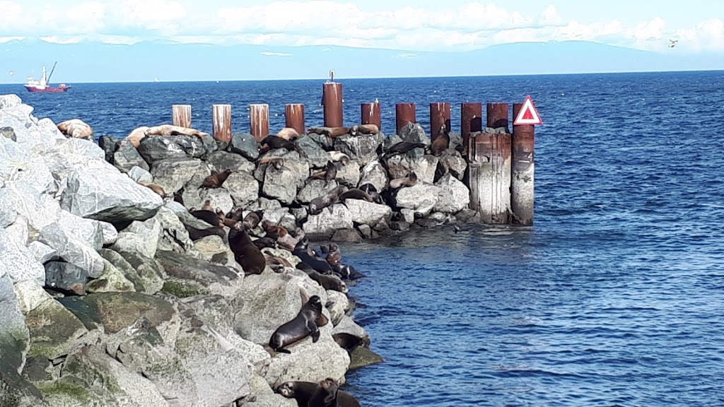 French Creek Seafood Ltd | 1097 Lee Rd, Parksville, BC V9P 2E1, Canada | Phone: (250) 248-2888