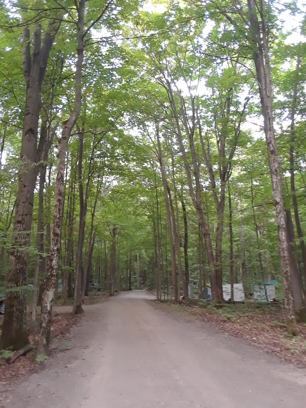 Deer Campground | Tiny, ON L9M 1R2, Canada | Phone: (705) 549-2231
