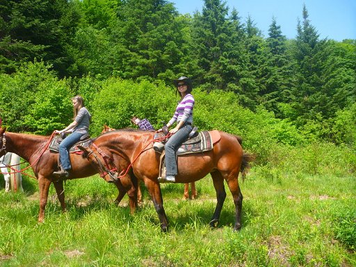 Excursions Jacques-Cartier | 860 Rue Jacques Cartier N, Stoneham-et-Tewkesbury, QC G3C 1X8, Canada | Phone: (418) 848-7238