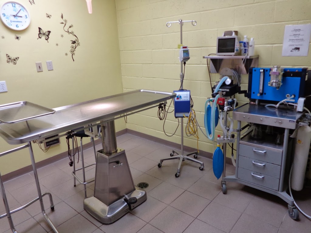 Clinique Vétérinaire de Coaticook | 490 Rue Main O, Coaticook, QC J1A 1P9, Canada | Phone: (819) 849-4865