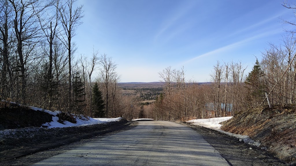 Chalet Artemis | 401 Chemin de la Détente, Val-Racine, QC G0Y 1E1, Canada | Phone: (450) 502-1472
