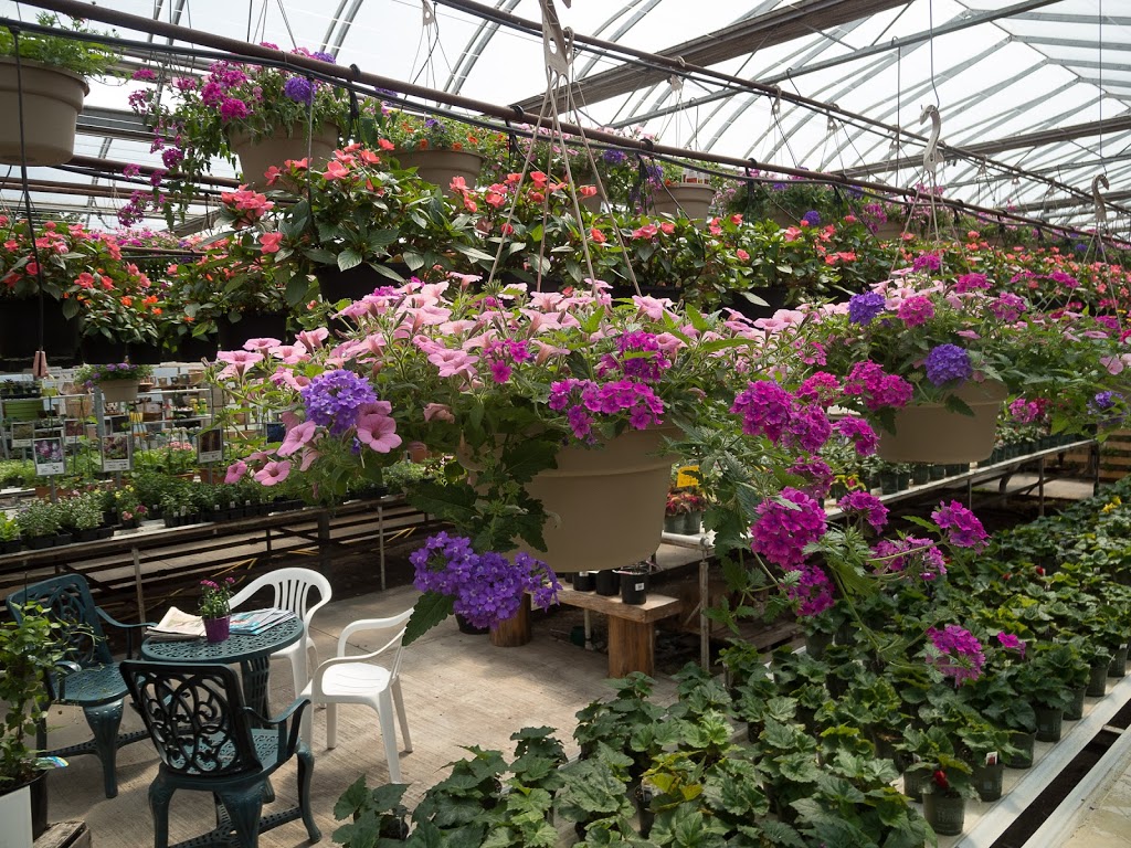 Huron Ridge Acres Inc. | 74101 Bronson Line, Zurich, ON N0M 2T0, Canada | Phone: (519) 565-2122