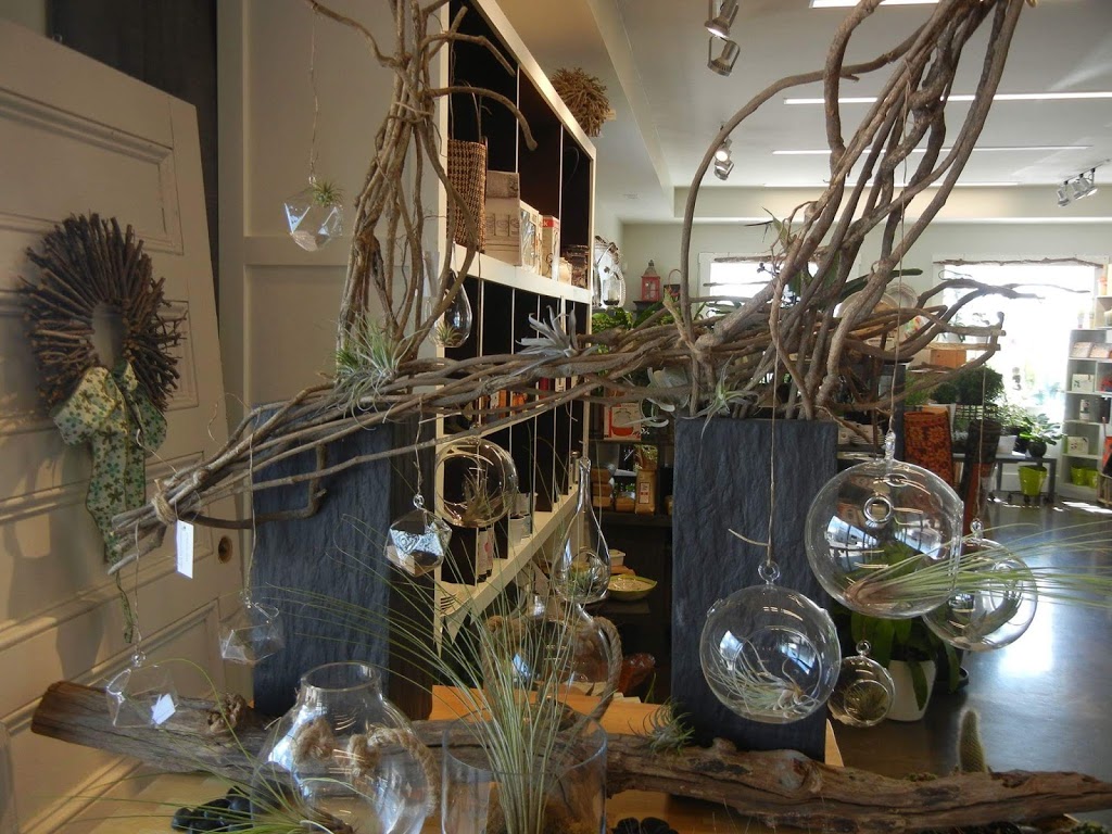 Beyond the House | 144 Craig St, Russell, ON K4R 1A1, Canada | Phone: (613) 445-5214