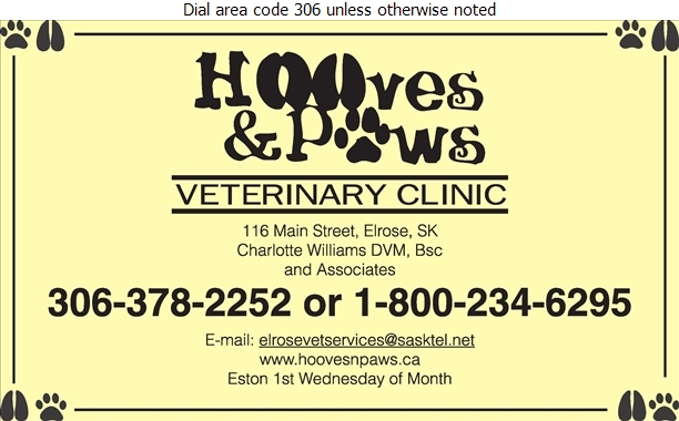 Hooves & Paws Veterinary Clinic | 116 Main St, Elrose, SK S0L 0Z0, Canada | Phone: (306) 378-2252