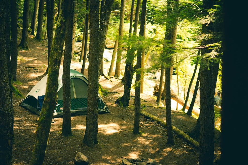 Enclosure Campground | 8 Enclosure Rd, Derby Junction, NB E1V 5B2, Canada | Phone: (506) 622-8638