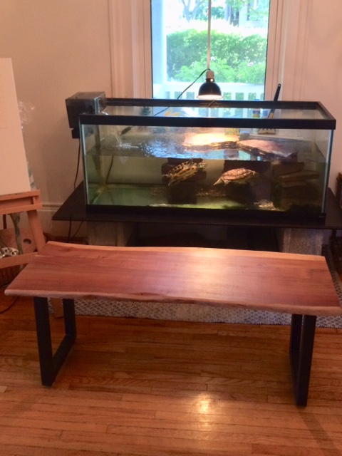 Framework Montessori Micro Elementary School | 19 George St, St. Catharines, ON L2R 5N3, Canada | Phone: (289) 707-0322